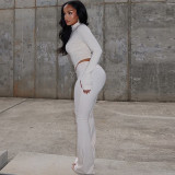 Women Pleated Zipper Solid Long Sleeve Stand Collar Crop Top and Long PantsTwo Piece Set
