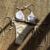 Lace Shell Two Piece Sexy Bikini