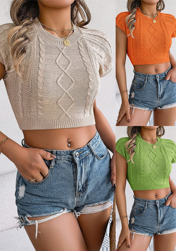Women Spring and Summer Casual Solid Short Sleeve Knitting Holidays Crop Top