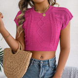 Women Spring and Summer Casual Solid Short Sleeve Knitting Holidays Crop Top