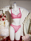 Sexy Lingerie Leopard Bra and Thong Two-Piece Set