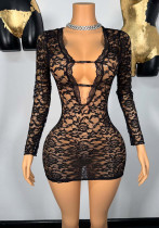 Women Sexy Lace Hollow Bodycon Dress