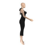 Women Spring Backless Halter Neck Sleeveless Vest and Pants Two Piece Set