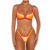 Sexy V-Neck Color Block Two-Piece Bikini Swimsuit