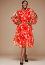 Spring & Autumn Long-Sleeve Lantern Sleeve Dress Formal Party Plus Size A-Line Dress