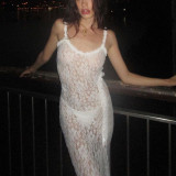 Spring Sexy Fashion Sheer Lace Slim Long Dress