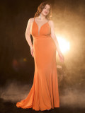 Plus Size Low Back Elegant Evening Dress