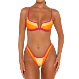Sexy V-Neck Color Block Two-Piece Bikini Swimsuit