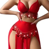 Sheer Metal Sequin Red Sexy Lingerie Set
