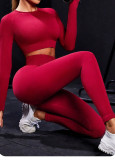 Seamless Tight-Fitting Yoga Set for Women Outdoor Wear Long-Sleeve Top Butt-Lifting Running Leggings Set