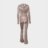 Women's Autumn Leopard Print Hooded Top and Pants Set