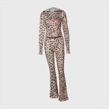 Women's Autumn Leopard Print Hooded Top and Pants Set