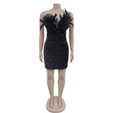 Women Sequin Feather Sleeveless Dress
