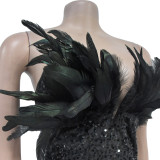 Women Sequin Feather Sleeveless Dress