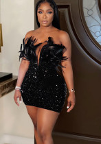 Women Sequin Feather Sleeveless Dress