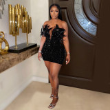 Women Sequin Feather Sleeveless Dress