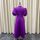 Plus size women's summer bow ladies solid color banquet dress skirt short sleeves