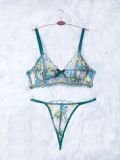 Women Lace Embroidery Mesh See-Through Bikini Sexy Underwear Two-piece Set