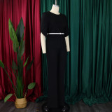 Women Elegant Solid Top and Wide Leg Pants Two-Piece Set