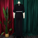 Women Elegant Solid Top and Wide Leg Pants Two-Piece Set