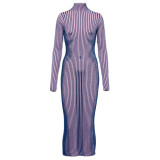 Women Leopard Round Neck Long Sleeve Maxi Dress