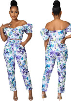 Women's Print Sexy Fashion Two-Piece Pants Set Women's Print Sexy Fashion Two-Piece Pants Set