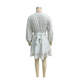 Spring and Summer Fashion Women's Polka Dot Print Puff Sleeve Dress