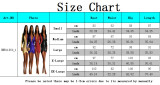 Women's Sexy Long Sleeves Solid Color Fashion V-Neck Dress