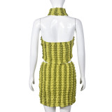 Women's Summer Halter Neck Low Back Crop Top and Skirt Two Piece Set