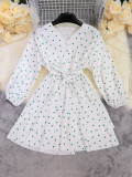 Spring and Summer Fashion Women's Polka Dot Print Puff Sleeve Dress