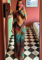 Women Spring Summer Sexy Sleeveless Halter Neck Backless Dress Women Spring Summer Sexy Sleeveless Halter Neck Backless Dress