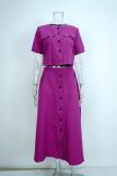 Elegant Solid Short Sleeve Spring Casual Two Piece Skirt Set