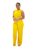 Casual High Stretch Ribbed Sleeveless Tank Top Wide Leg Pants Two Piece Set