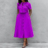 Elegant Solid Short Sleeve Spring Casual Two Piece Skirt Set
