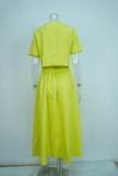 Elegant Solid Short Sleeve Spring Casual Two Piece Skirt Set