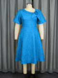 Jacquard Plus Size Fashion Formal Party A-Line Dress