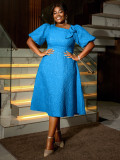 Jacquard Plus Size Fashion Formal Party A-Line Dress