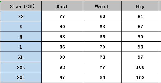 Sexy Strap Lace mesh Short Party Dress