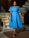 Jacquard Plus Size Fashion Formal Party A-Line Dress