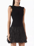 Round Neck Sleeveless Fashionable Ladies Tassel Short Party Dress
