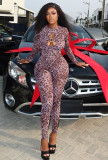 Women's Spring Round Neck Long Sleeve Leopard Print Sexy Hollow Tight-Fitting Jumpsuit