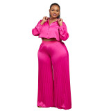 Plus Size Women Fall and Winter Casual Shirt Top and Wide Leg Pants Two-Piece Set