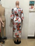 Summer Autumn Women's Fashion Loose Print Shirt Dress
