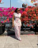Women's Spring Pleated Round Neck Flying Sleeve Fashion Print Top Wide-Leg Pants Two-Piece Set