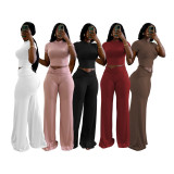 Women Summer Solid Stretch Knot Top and Wide Leg Pants Two-Piece Set