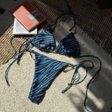 Women Zebra Print Metal Sexy Strapless Two Pieces Swimwear