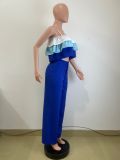 Women's Spring Summer Camisole Ruffle Top High Waist Pants Set