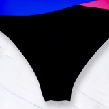 Women's Two Pieces Swimwear Patchwork Colorblock Bikini