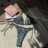 Women Zebra Print Metal Sexy Strapless Two Pieces Swimwear