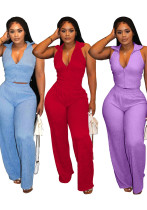 Summer Women’s Sleeveless Pleated Top and Casual Pants Set